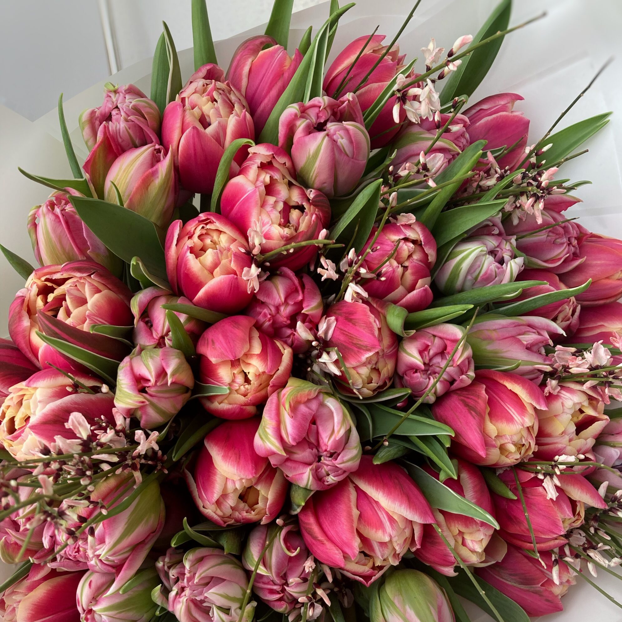 Bukiet pełnych tulipanów - obrazek 2