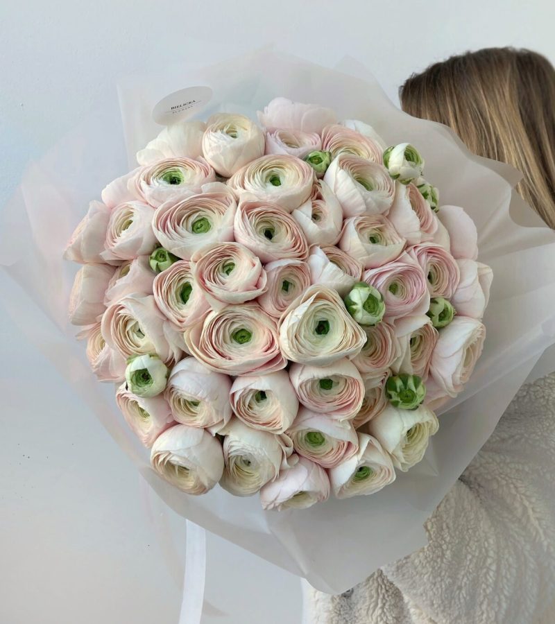 Bukiet kremowych jaskrów