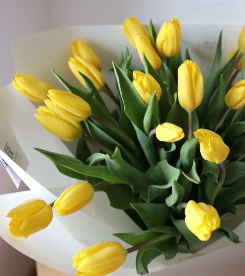Bukiet żółtych tulipanów