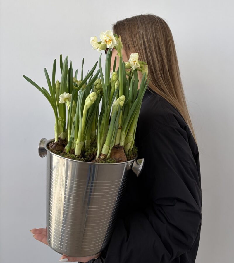 ❋ Kompozycja z białych narcyzów